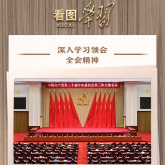 學習好貫徹好三中全會精神 總書記作出重要指引